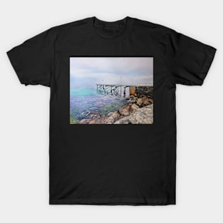 View from the Second Valley Path T-Shirt